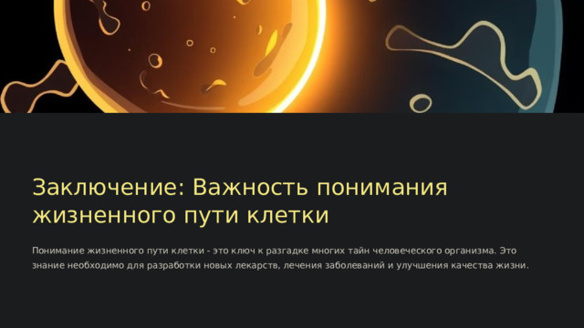  Заключение: Важность понимания жизненного пути клетки Понимание жизненного пути клетки - это ключ к разгадке многих тайн человеческого организма. Это знание необходимо для разработки новых лекарств, лечения заболеваний и улучшения качества жизни. 