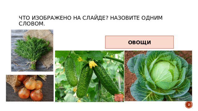 Что изображено на слайде? Назовите одним словом. ОВОЩИ   