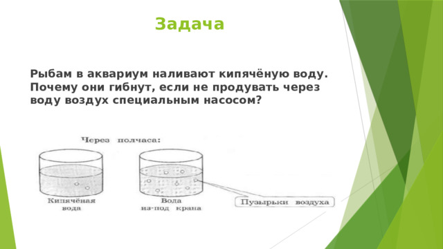 Задача Рыбам в аквариум наливают кипячёную воду. Почему они гибнут, если не продувать через воду воздух специальным насосом? 
