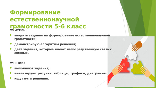 Формирование естественнонаучной грамотности 5-6 класс УЧИТЕЛЬ: вводить задания на формирование естественнонаучной грамотности; демонстрирую алгоритмы решения; дает задания, которые имеют непосредственную связь с жизнью.  УЧЕНИК: выполняют задания; анализируют рисунки, таблицы, графики, диаграммы; ищут пути решения. 