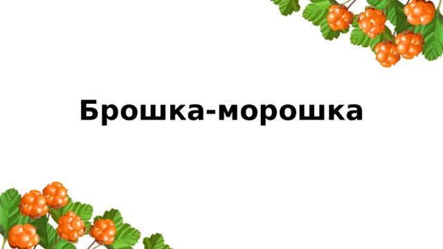 Брошка-морошка 