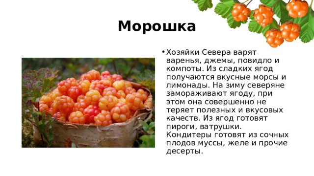 Морошка Хозяйки Севера варят варенья, джемы, повидло и компоты. Из сладких ягод получаются вкусные морсы и лимонады. На зиму северяне замораживают ягоду, при этом она совершенно не теряет полезных и вкусовых качеств. Из ягод готовят пироги, ватрушки. Кондитеры готовят из сочных плодов муссы, желе и прочие десерты. 