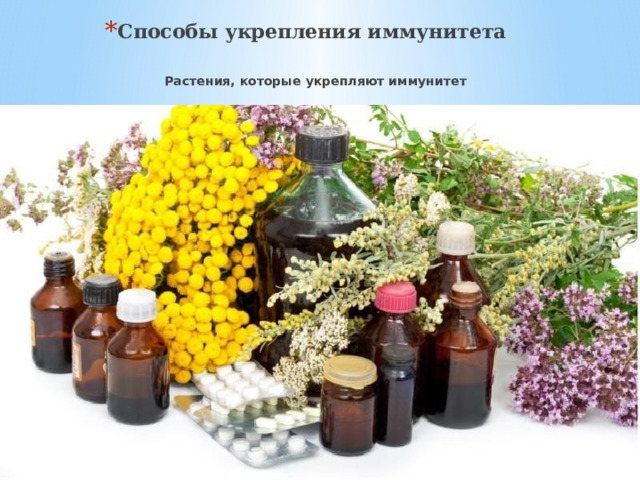 Способы укрепления иммунитета Растения, которые укрепляют иммунитет 