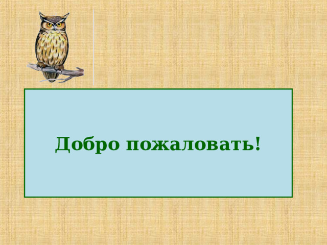 Добро пожаловать! 