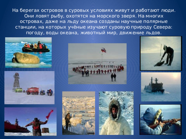 На берегах островов в суровых условиях живут и работают люди. Они ловят рыбу, охотятся на морского зверя. На многих островах, даже на льду океана созданы научные полярные станции, на которых учёные изучают суровую природу Севера: погоду, воды океана, животный мир, движение льдов. 