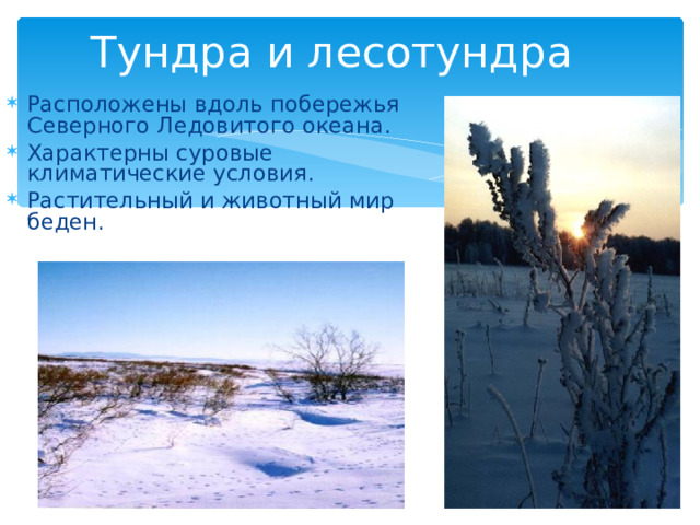 Тундра и лесотундра Расположены вдоль побережья Северного Ледовитого океана. Характерны суровые климатические условия. Растительный и животный мир беден. 