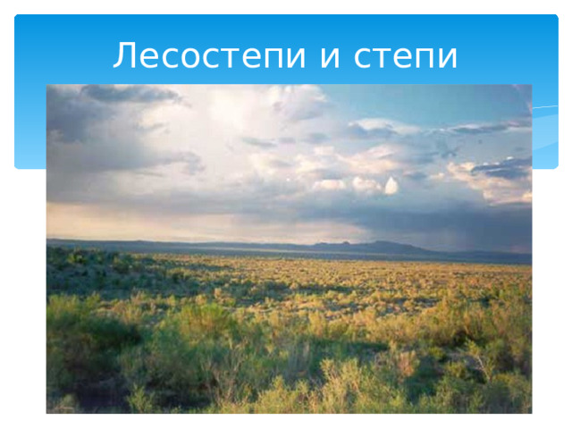 Лесостепи и степи Занимают юг европейской части России. Прослеживаются черты засушливости климата. Распаханность территории. 