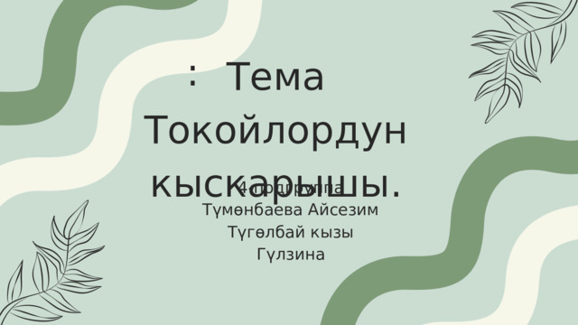 : Тема  Токойлордун кыскарышы. 4-подгруппа Түмөнбаева Айсезим Түгөлбай кызы Гүлзина 