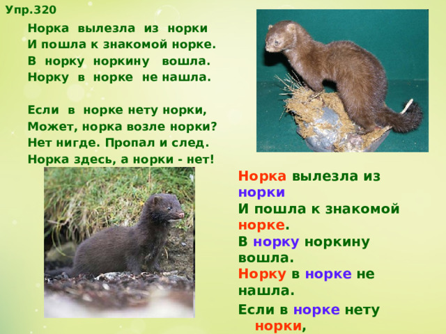Упр.320 Норка вылезла из норки И пошла к знакомой норке. В норку норкину вошла. Норку в норке не нашла. Если в норке нету норки, Может, норка возле норки? Нет нигде. Пропал и след. Норка здесь, а норки - нет! Норка вылезла из норки И пошла к знакомой норке . В норку норкину вошла. Норку в норке не нашла. Если в норке нету норки , Может, норка возле норки ? Нет нигде. Пропал и след. Норка здесь, а норки - нет!  