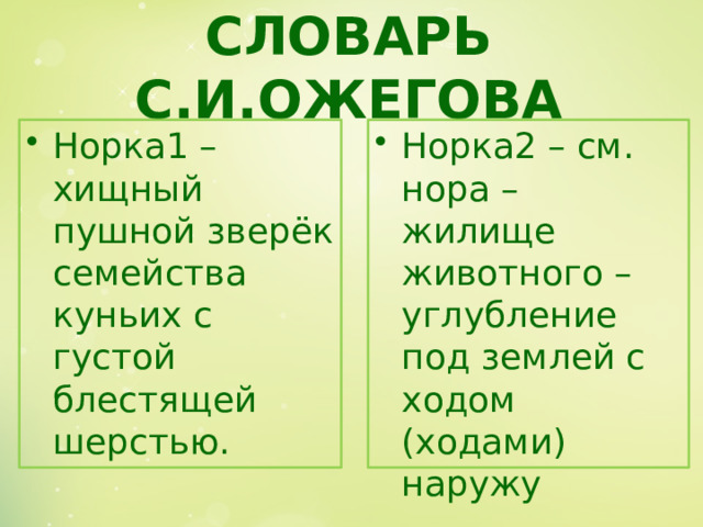 СЛОВАРЬ С.И.ОЖЕГОВА Норка1 – хищный пушной зверёк семейства куньих с густой блестящей шерстью. Норка2 – см. нора – жилище животного – углубление под землей с ходом (ходами) наружу 