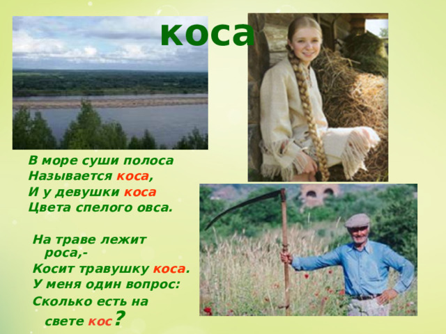 коса В море суши полоса Называется коса , И у девушки коса Цвета спелого овса.   На траве лежит роса,-  Косит травушку коса .  У меня один вопрос:  Сколько есть на свете кос ? 