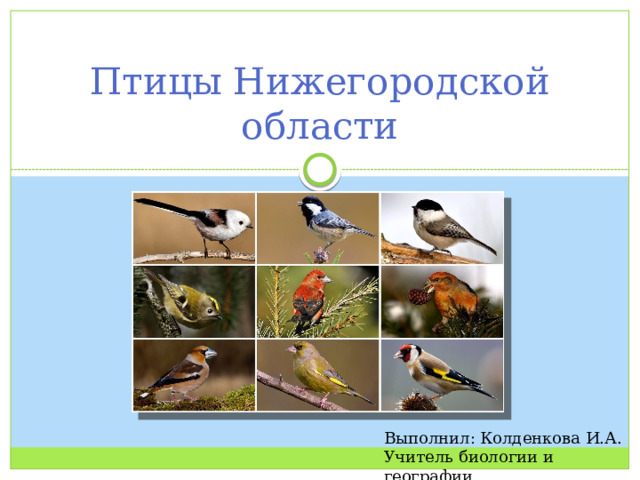 Птицы Нижегородской области Выполнил: Колденкова И.А. Учитель биологии и географии 