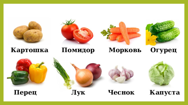Картошка Помидор Морковь Огурец Капуста Чеснок Перец Лук 