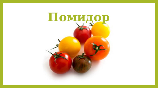 Помидор 