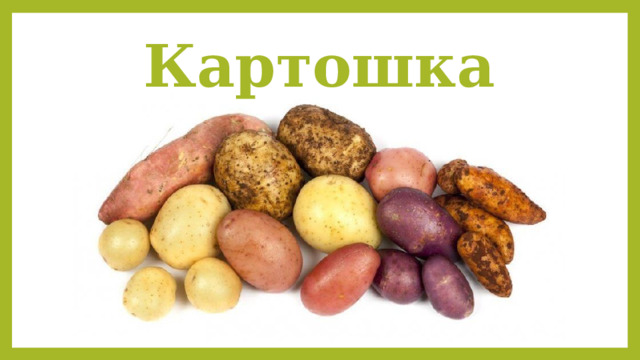 Картошка 