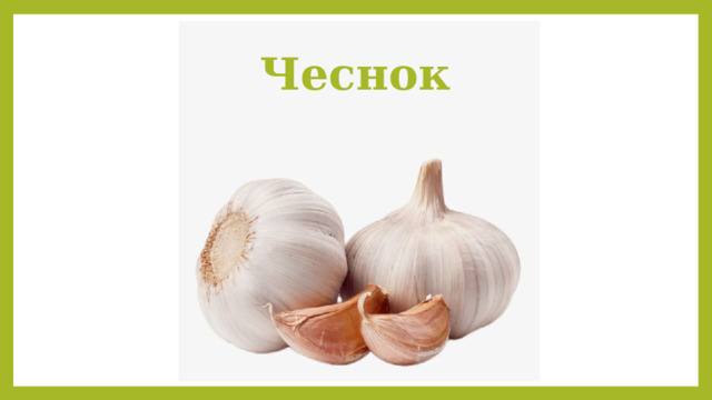 Чеснок 