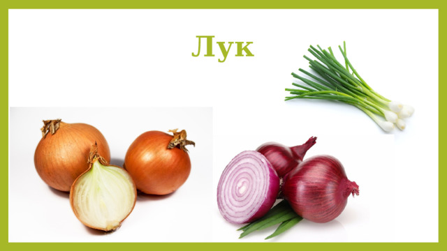 Лук 