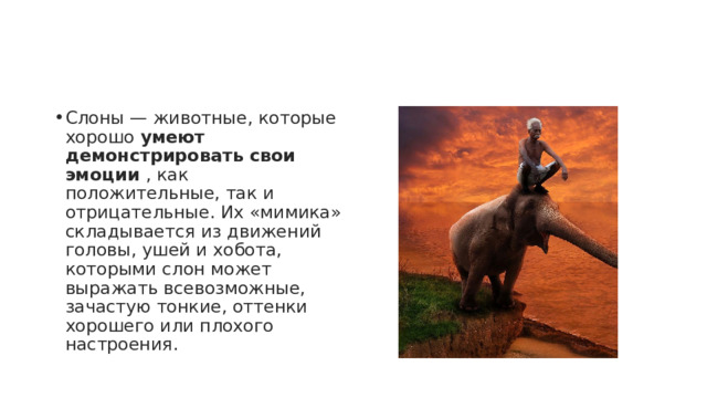 Слоны — животные, которые хорошо  умеют демонстрировать свои эмоции  , как положительные, так и отрицательные. Их «мимика» складывается из движений головы, ушей и хобота, которыми слон может выражать всевозможные, зачастую тонкие, оттенки хорошего или плохого настроения. 