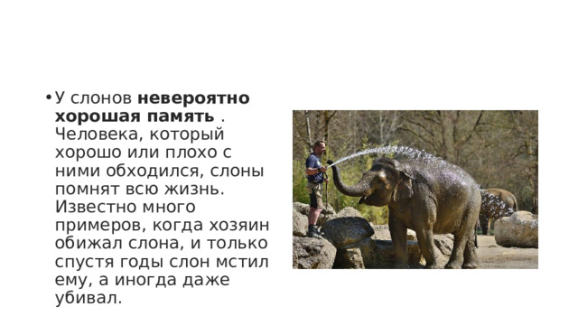 У слонов  невероятно хорошая память  . Человека, который хорошо или плохо с ними обходился, слоны помнят всю жизнь. Известно много примеров, когда хозяин обижал слона, и только спустя годы слон мстил ему, а иногда даже убивал. 