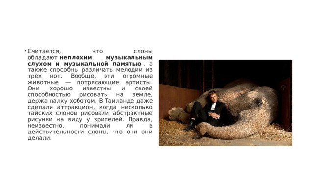 Считается, что слоны обладают  неплохим музыкальным слухом и музыкальной памятью  , а также способны различать мелодии из трёх нот. Вообще, эти огромные животные — потрясающие артисты. Они хорошо известны и своей способностью рисовать на земле, держа палку хоботом. В Таиланде даже сделали аттракцион, когда несколько тайских слонов рисовали абстрактные рисунки на виду у зрителей. Правда, неизвестно, понимали ли в действительности слоны, что они они делали. 