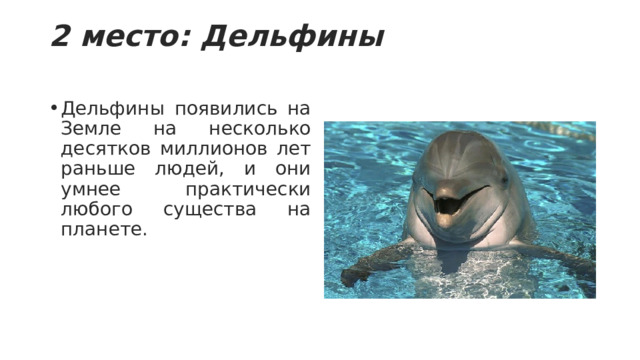 2 место: Дельфины   Дельфины появились на Земле на несколько десятков миллионов лет раньше людей, и они умнее практически любого существа на планете. 