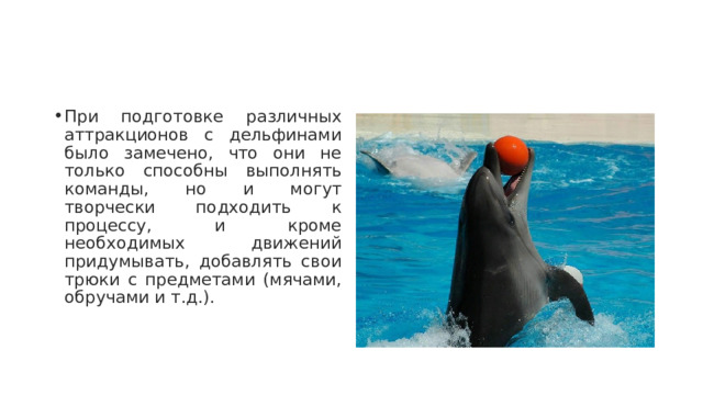 При подготовке различных аттракционов с дельфинами было замечено, что они не только способны выполнять команды, но и могут творчески подходить к процессу, и кроме необходимых движений придумывать, добавлять свои трюки с предметами (мячами, обручами и т.д.). 