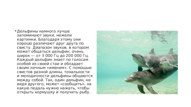 Дельфины намного лучше запоминают звуки, нежели картинки. Благодаря этому они хорошо различают друг друга по свисту. Диапазон звуков, в котором может общаться дельфин, очень широк — от 3 000 Гц до 200 000 Гц. Каждый дельфин знает по голосам особей из своей стаи и обладает своим личным «именем». С помощью свистов разной длины, тональности и мелодичности дельфины общаются между собой. Так, один дельфин, не видя другого, может «сообщить», на какую педаль нужно нажать, чтобы открыть кормушку и получить рыбу. 