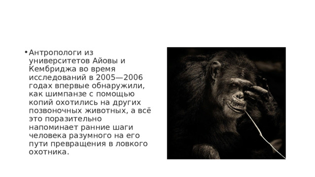 Антропологи из университетов Айовы и Кембриджа во время исследований в 2005—2006 годах впервые обнаружили, как шимпанзе с помощью копий охотились на других позвоночных животных, а всё это поразительно напоминает ранние шаги человека разумного на его пути превращения в ловкого охотника. 