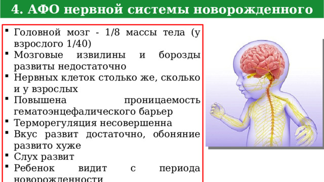 4. АФО нервной системы новорожденного Головной мозг - 1/8 массы тела (у взрослого 1/40) Мозговые извилины и борозды развиты недостаточно Нервных клеток столько же, сколько и у взрослых Повышена проницаемость гематоэнцефалического барьер Терморегуляция несовершенна Вкус развит достаточно, обоняние развито хуже Слух развит Ребенок видит с периода новорожденности 