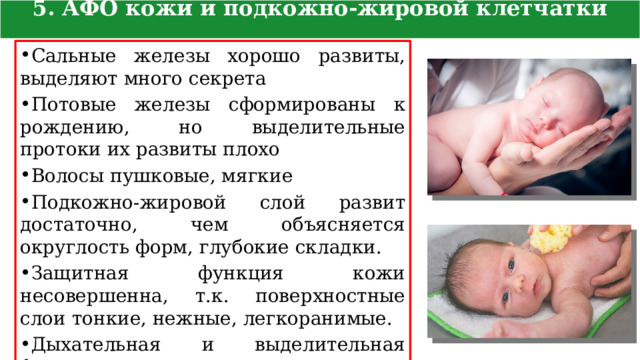 5. АФО кожи и подкожно-жировой клетчатки новорожденного Сальные железы хорошо развиты, выделяют много секрета Потовые железы сформированы к рождению, но выделительные протоки их развиты плохо Волосы пушковые, мягкие Подкожно-жировой слой развит достаточно, чем объясняется округлость форм, глубокие складки. Защитная функция кожи несовершенна, т.к. поверхностные слои тонкие, нежные, легкоранимые. Дыхательная и выделительная функции кожи развиты хорошо 