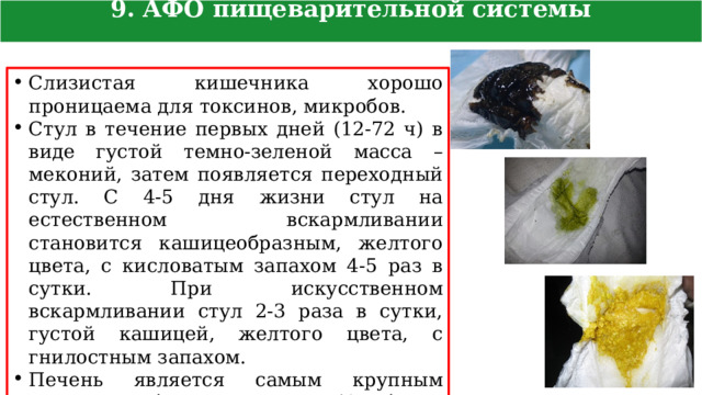 9. АФО пищеварительной системы новорожденного Слизистая кишечника хорошо проницаема для токсинов, микробов. Стул в течение первых дней (12-72 ч) в виде густой темно-зеленой масса – меконий, затем появляется переходный стул. С 4-5 дня жизни стул на естественном вскармливании становится кашицеобразным, желтого цвета, с кисловатым запахом 4-5 раз в сутки. При искусственном вскармливании стул 2-3 раза в сутки, густой кашицей, желтого цвета, с гнилостным запахом. Печень является самым крупным органом ребенка, занимает ½ объема брюшной полости, выступает из подреберья на 1-2 см, функционально незрела. 