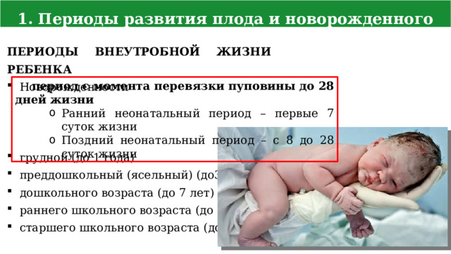 1. Периоды развития плода и новорожденного ПЕРИОДЫ ВНЕУТРОБНОЙ ЖИЗНИ РЕБЕНКА Новорожденности грудной (до 1 года) преддошкольный (ясельный) (до3 лет) дошкольного возраста (до 7 лет) раннего школьного возраста (до 11 лет) старшего школьного возраста (до 18 лет) период с момента перевязки пуповины до 28 дней жизни Ранний неонатальный период – первые 7 суток жизни Поздний неонатальный период – с 8 до 28 суток жизни  