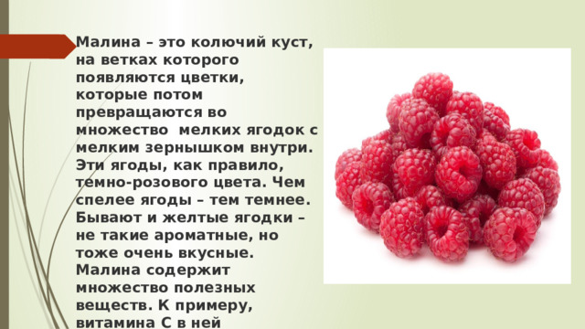 Малина – это колючий куст, на ветках которого появляются цветки, которые потом превращаются во множество  мелких ягодок с мелким зернышком внутри. Эти ягоды, как правило, темно-розового цвета. Чем спелее ягоды – тем темнее. Бывают и желтые ягодки – не такие ароматные, но тоже очень вкусные.  Малина содержит множество полезных веществ. К примеру, витамина С в ней содержится даже больше, чем в апельсине.   