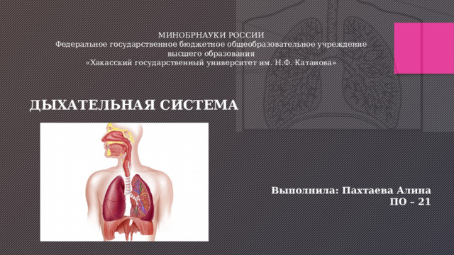 МИНОБРНАУКИ РОССИИ Федеральное государственное бюджетное общеобразовательное учреждение высшего образования «Хакасский государственный университет им. Н.Ф. Катанова» ДЫХАТЕЛЬНАЯ СИСТЕМА Выполнила: Пахтаева Алина ПО – 21 