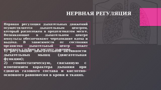 НЕРВНАЯ РЕГУЛЯЦИЯ Нервная регуляция дыхательных движений осуществляется дыхательным центром, который расположен в продолговатом мозге. Возникающие в дыхательном центре импульсы обеспечивают чередование вдоха и выдоха. В зависимости от состояния организма дыхательный центр может изменять глубину и частоту дыхания. 1) регуляцию двигательной активности дыхательных мышц (двигательная функция); 2) гомеостатическую, связанную с изменением характера дыхания при сдвигах газового состава и кислотно-основного равновесия в крови и тканях. 