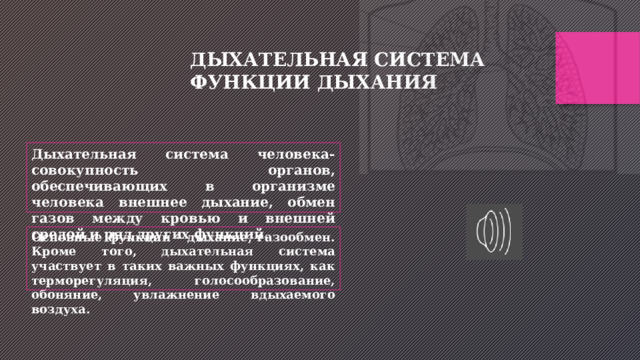 ДЫХАТЕЛЬНАЯ СИСТЕМА ФУНКЦИИ ДЫХАНИЯ Дыхательная система человека- совокупность органов, обеспечивающих в организме человека внешнее дыхание, обмен газов между кровью и внешней средой и ряд других функций. Основные функции – дыхание, газообмен. Кроме того, дыхательная система участвует в таких важных функциях, как терморегуляция, голосообразование, обоняние, увлажнение вдыхаемого воздуха. 