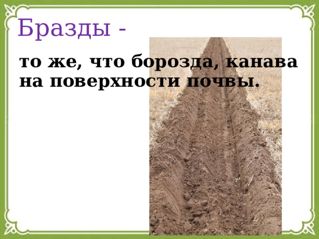 Бразды - то же, что борозда, канава на поверхности почвы. 