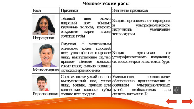 Человеческие расы 
