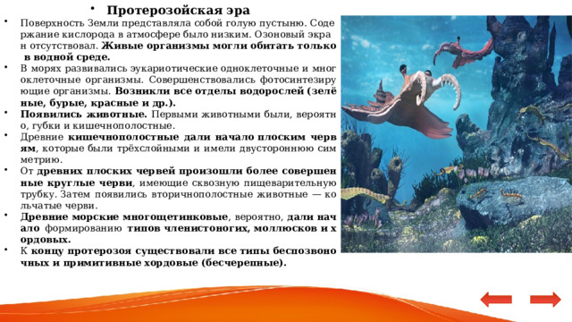 Протерозойская эра Поверхность Земли представляла собой голую пустыню. Содержание кислорода в атмосфере было низким. Озоновый экран отсутствовал.  Живые организмы могли обитать только в водной среде. В морях развивались эукариотические одноклеточные и многоклеточные организмы. Совершенствовались фотосинтезирующие организмы. Возникли все отделы водорослей (зелёные, бурые, красные и др.). Появились животные. Первыми животными были, вероятно, губки и кишечнополостные. Древние кишечнополостные дали начало плоским червям , которые были трёхслойными и имели двустороннюю симметрию.  От древних плоских червей произошли более совершенные круглые черви , имеющие сквозную пищеварительную трубку. Затем появились вторичнополостные животные — кольчатые черви. Древние морские многощетинковые , вероятно, дали начало формированию типов членистоногих, моллюсков и хордовых. К концу протерозоя существовали все типы беспозвоночных и примитивные хордовые (бесчерепные). 