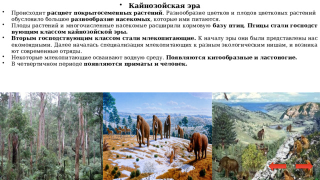 Кайнозойская эра Происходит расцвет покрытосеменных растений . Разнообразие цветков и плодов цветковых растений обусловило большое разнообразие насекомых , которые ими питаются. Плоды растений и многочисленные насекомые расширили кормовую базу птиц .  Птицы стали господствующим классом кайнозойской эры. Вторым господствующим классом стали млекопитающие.  К началу эры они были представлены насекомоядными. Далее началась специализация млекопитающих к разным экологическим нишам, и возникают современные отряды. Некоторые млекопитающие осваивают водную среду. Появляются китообразные и ластоногие. В четвертичном периоде появляются приматы и человек.  