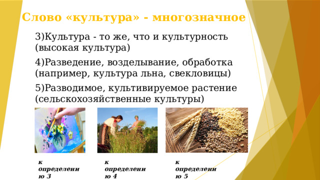 Слово «культура» - многозначное 3)Культура - то же, что и культурность (высокая культура) 4)Разведение, возделывание, обработка (например, культура льна, свекловицы) 5)Разводимое, культивируемое растение (сельскохозяйственные культуры) к определению 3 к определению 5 к определению 4 