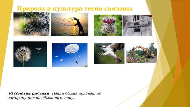 Природа и культура тесно связаны Рассмотри рисунки. Найди общий признак, по которому можно объединить пару.  