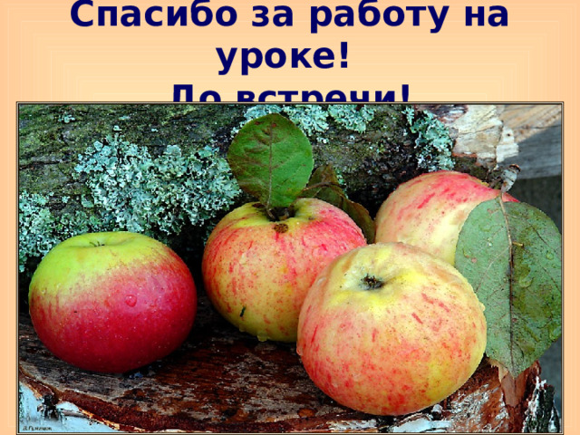Спасибо за работу на уроке!  До встречи! 