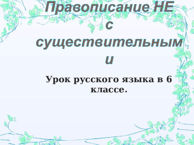 Урок русского языка в 6 классе.  