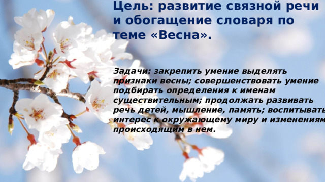 Цель: развитие связной речи и обогащение словаря по теме «Весна». Задачи: закрепить умение выделять признаки весны; совершенствовать умение подбирать определения к именам существительным; продолжать развивать речь детей, мышление, память; воспитывать интерес к окружающему миру и изменениям, происходящим в нем. 