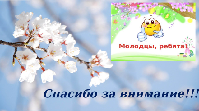 Спасибо за внимание!!! 