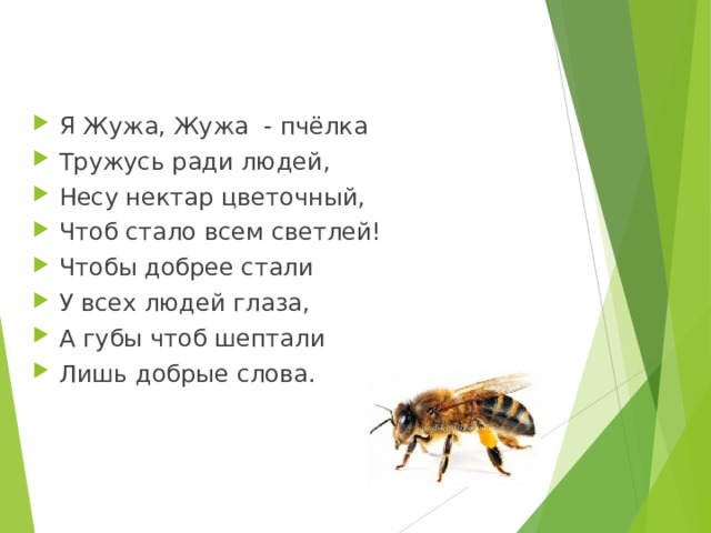 Я Жужа, Жужа  - пчёлка Тружусь ради людей, Несу нектар цветочный, Чтоб стало всем светлей! Чтобы добрее стали У всех людей глаза, А губы чтоб шептали Лишь добрые слова. 