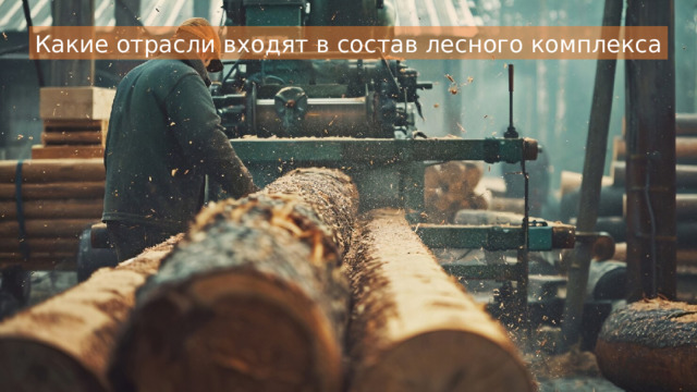 Какие отрасли входят в состав лесного комплекса 