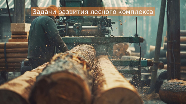 Задачи развития лесного комплекса 