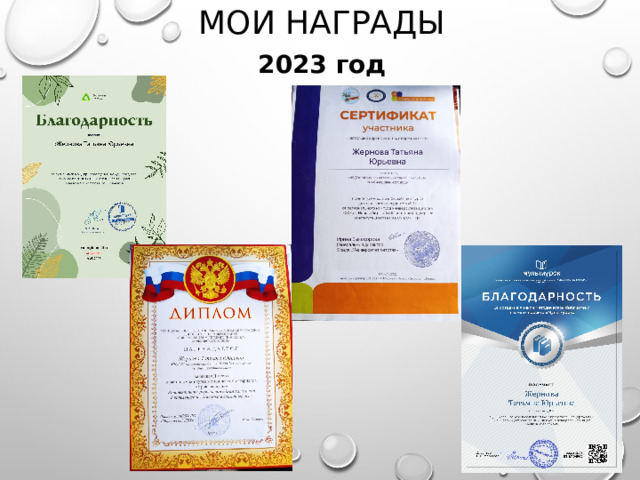 Мои награды 2023 год 